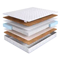 Natural Hard 1 PS1000